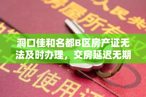 洞口佳和名都B区房产证无法及时办理，交房延迟无期