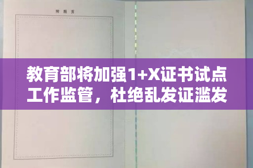 教育部将加强1+X证书试点工作监管，杜绝乱发证滥发证现象