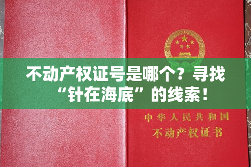 不动产权证号是哪个？寻找“针在海底”的线索！