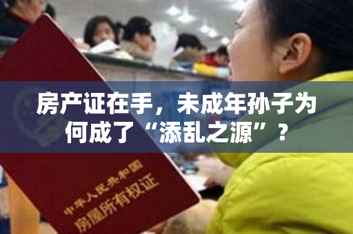 房产证在手，未成年孙子为何成了“添乱之源”？