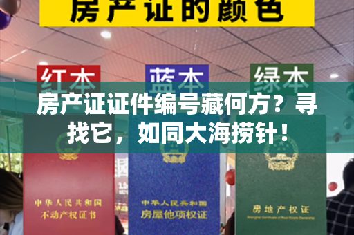 房产证证件编号藏何方？寻找它，如同大海捞针！