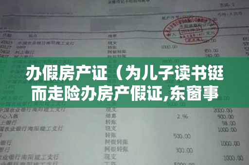 办假房产证（为儿子读书铤而走险办房产假证,东窗事发被量刑处罚）