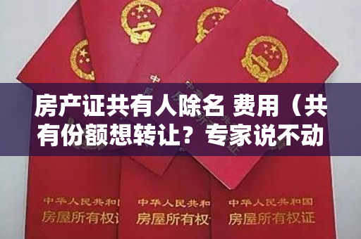 房产证共有人除名 费用（共有份额想转让？专家说不动产这样除名更省钱）