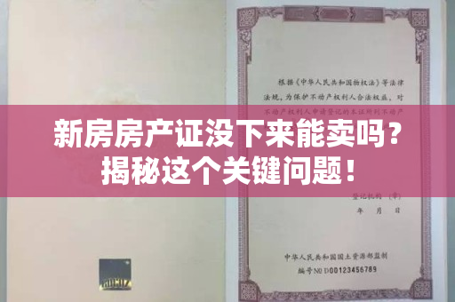 新房房产证没下来能卖吗？揭秘这个关键问题！